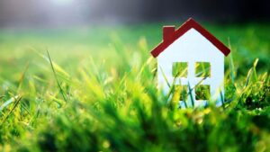 Cardboard house in grass field