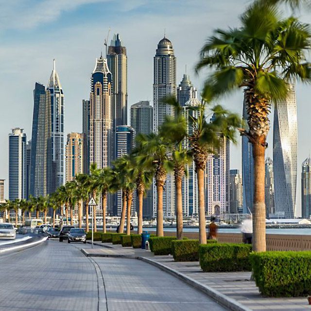 Palm lined street in UAE